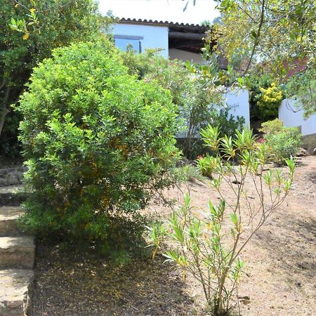 Casa Minipa Villa เบกูร์ ภายนอก รูปภาพ